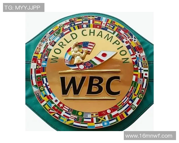 拳王海耶与贝卢的巅峰对决谁将成为新的拳坛传奇