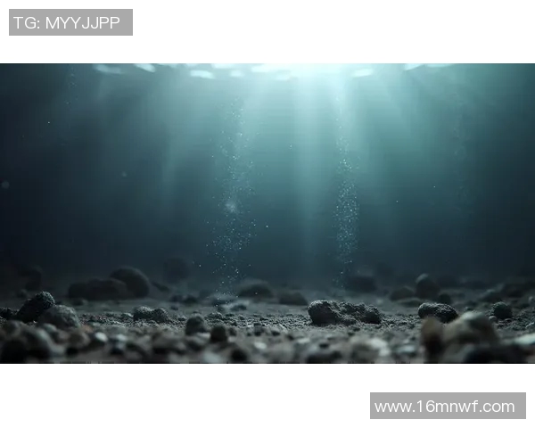 中央脉搏与北方神秘直播交汇探讨奇幻世界的奥秘与魅力