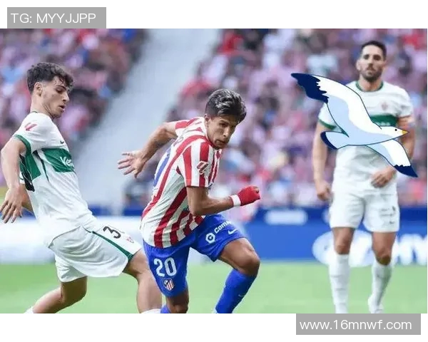 国王杯埃瓦尔对决精彩回顾与赛前分析全方位解读