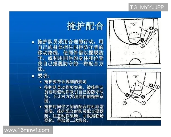 杭州篮球队区域防守创新探索与战术变革的深度分析MBA