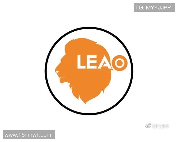 杭州飞盘队运营革新探索：如何提升团队竞争力与市场影响力