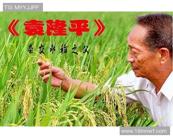 罗凯文的成长之路与未来展望:从平凡到卓越的奋斗历程