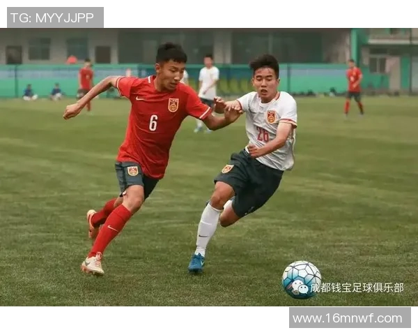 成都排球队征战洲际杯的拼搏故事与荣耀之路