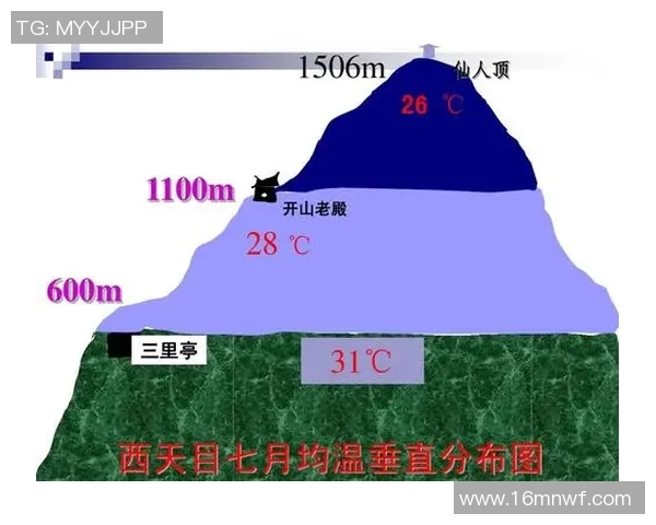 LNG战队快攻策略的成功与失败分析及其对比赛结果的影响